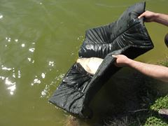 Floarea Popestiului 14.04.2012